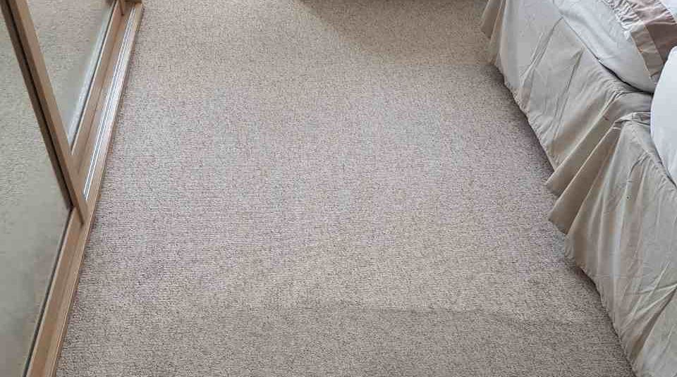 WC1 rug cleaner Bloomsbury