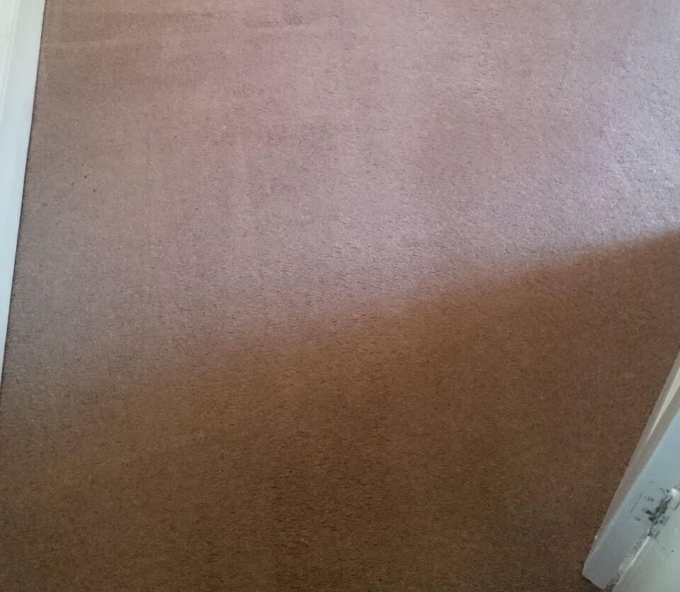 TW14 carpet cleaners East Bedfont