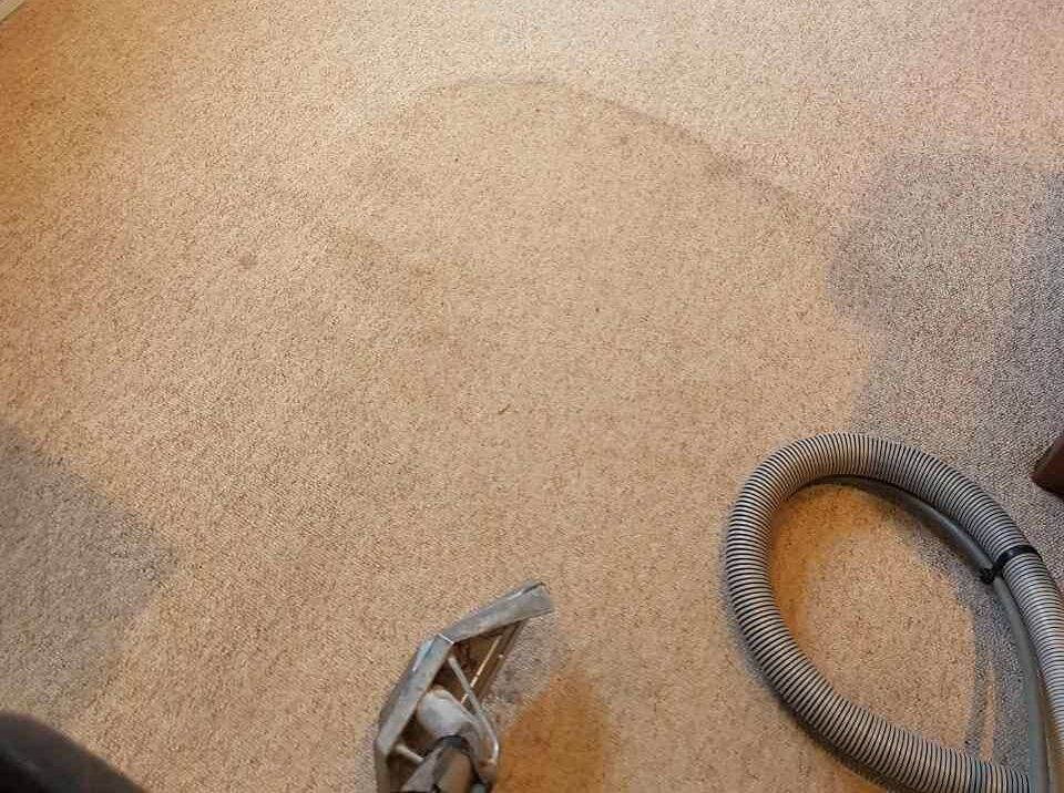 SE3 rug cleaner Kidbrooke