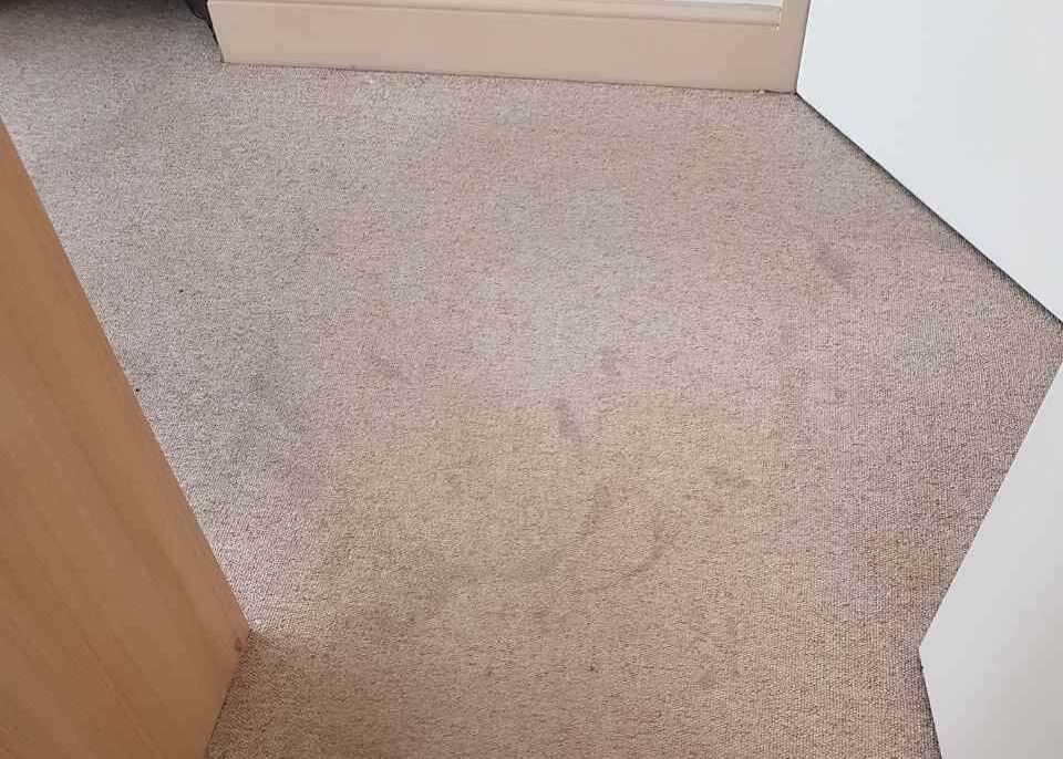 office carpet cleaners W1