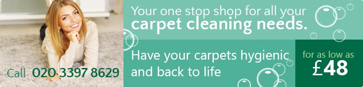 E10 Steam and Carpet Cleaners Rental Prices Leytonstone